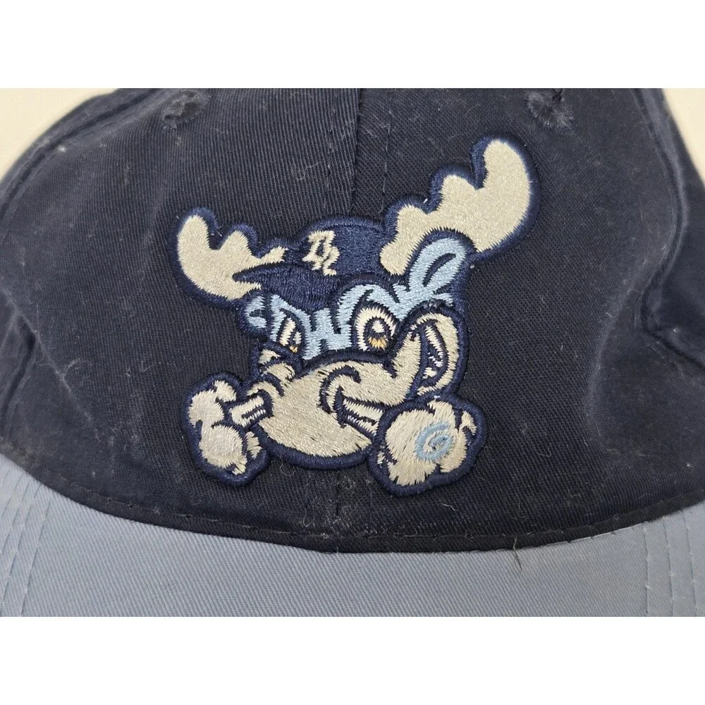 Wilmington Blue Rocks Cap MiLB Embroidered Minor League Baseball Logo